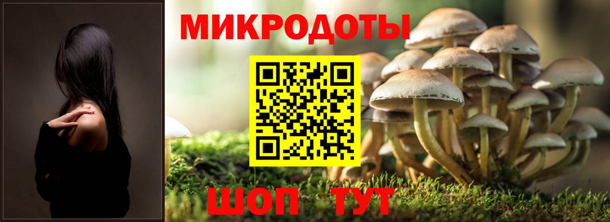 купить   Галлюциногенные грибы GOLDEN TEACHER  Вход с VPN  Южно-Сахалинск 